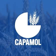 Capamol